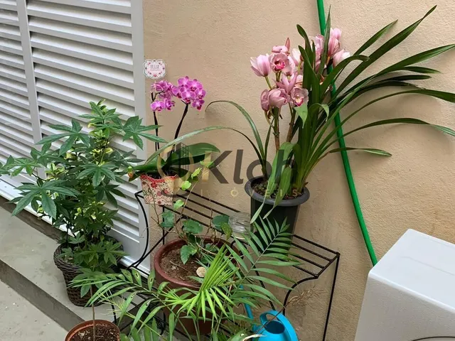 Imagem 10: Excelente Apartamento de 2 Quartos (1 suite com closet) no centro de Petrópolis!