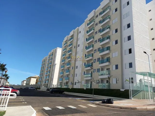 Imagem 12: .