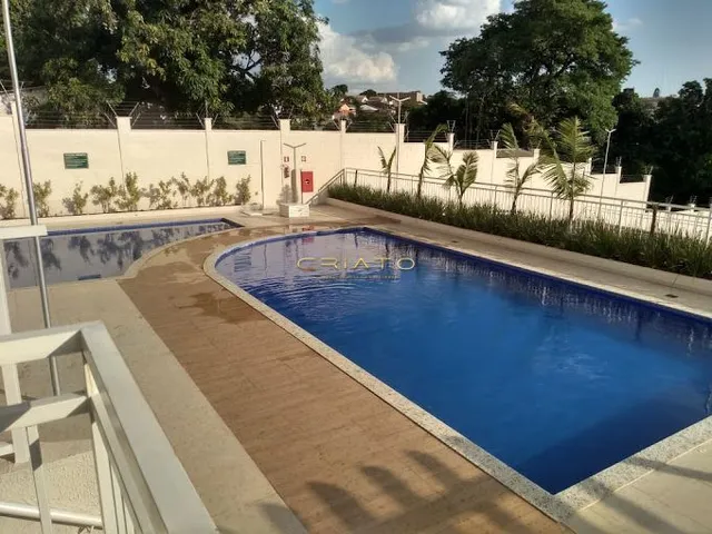 Imagem 14: .