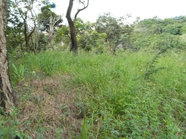 Imagem: Terreno À Venda em Jarinu-Sp, na Vila Ypê