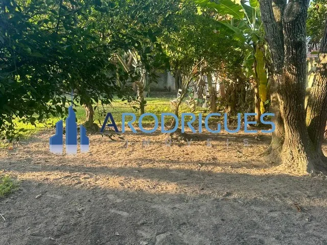 Imagem 9: Sitio Rural em Camaçari - Ba, Parque das Dunas (Abrantes