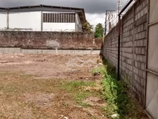 Imagem 3: Terreno plano com 2.640m2 em Pitangueiras, Lauro de Freitas-BA