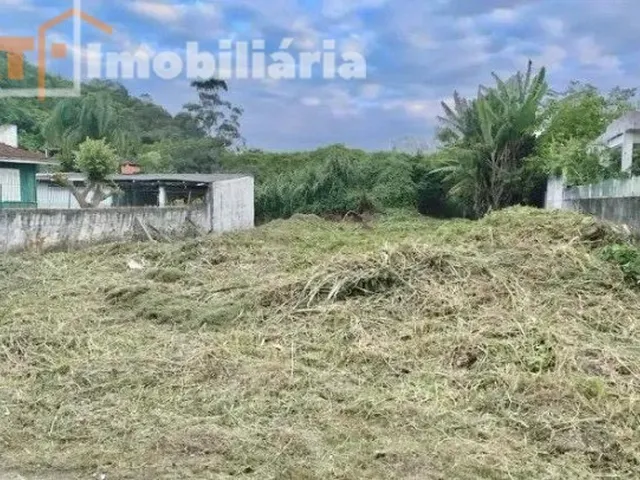 Imagem 4: Terreno Residencial em Florianópolis - Sc, Daniela