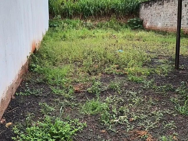 Imagem 3: Terreno em Jardim Paulista - Maringá