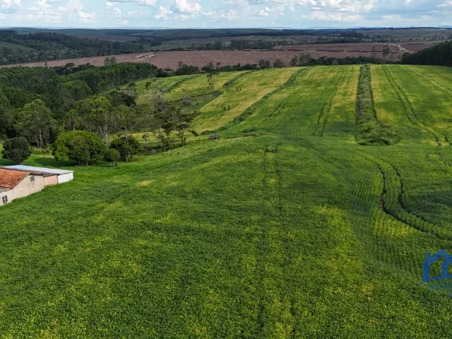 Imagem: Sitio/Fazenda à Venda, 65 Alqueires por