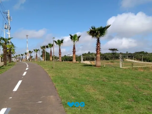 Imagem 2: Terreno À Venda Centro Viamão/Rs