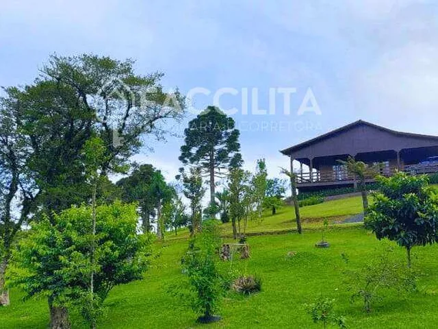 Imagem: Casa À Venda em São Bento do Sul, Dona