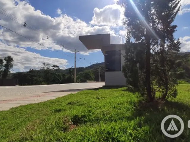 Imagem: Loteamento Residencial Jardim das Hortênsias