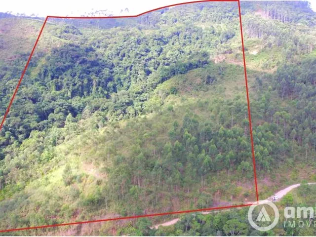 Imagem: Terrenos para Sítio em Botuverá!