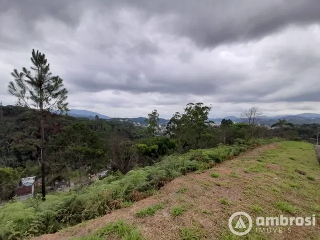 Imagem: Amplo Terreno em Loteamento Alto Padrão