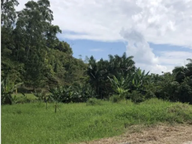 Imagem 3: Amplo Terreno no Lageado Baixo!!!