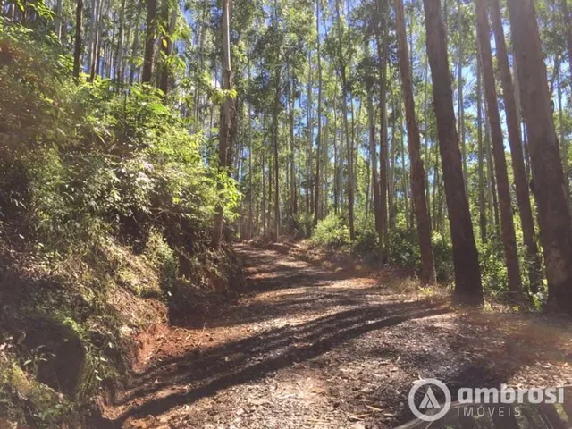 Imagem: Área Rural em Leoberto Leal com 40.6 Hectares