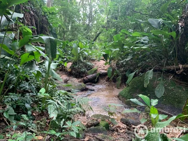 Imagem: Terreno Ideal Para Área de Reserva ou Sítio!!!
