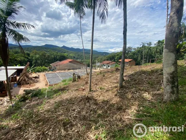 Imagem: Lindo Terreno no Bairro São Pedro