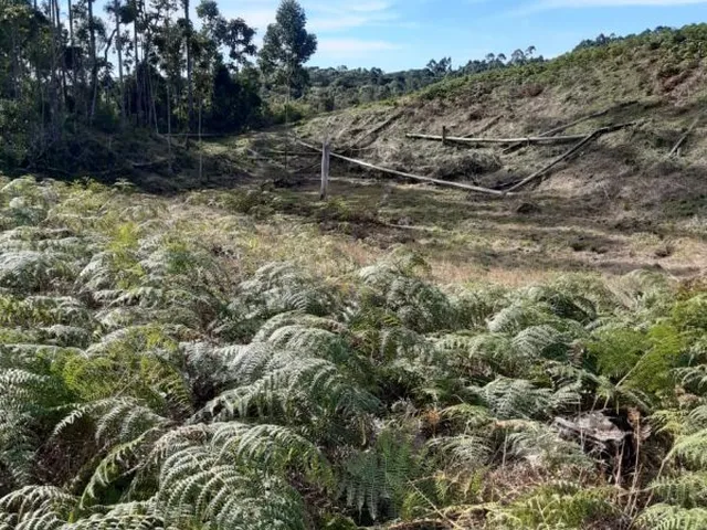 Imagem 6: Terreno para Sítio em Botuverá