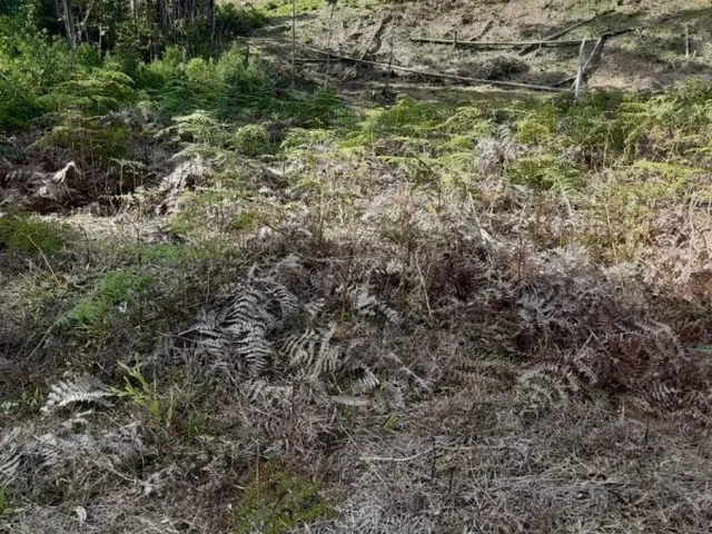 Imagem 9: Terreno para Sítio em Botuverá