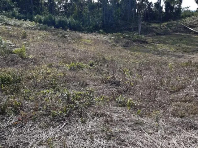 Imagem 8: Terreno para Sítio em Botuverá