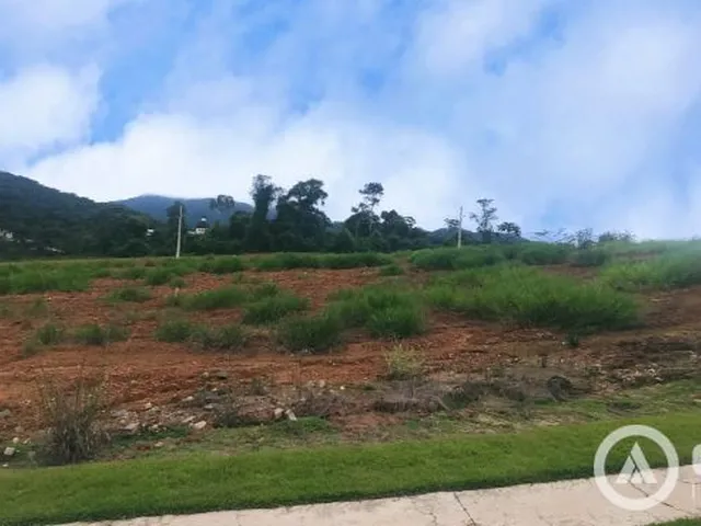 Imagem: Jardim das Hortênsias Perto do Verde Longe