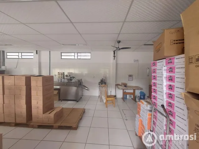 Imagem 3: Casa/Galpão Com Amplo Terreno e Espaço Adicional para Você Montar Seu Negócio