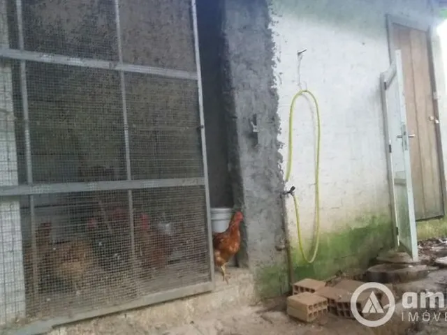 Imagem 1: Casa/Galpão Com Amplo Terreno e Espaço Adicional para Você Montar Seu Negócio