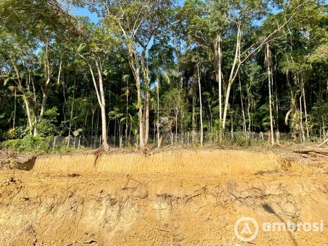 Imagem 3: Terrenos no bairro Guarani - Pronto para construir