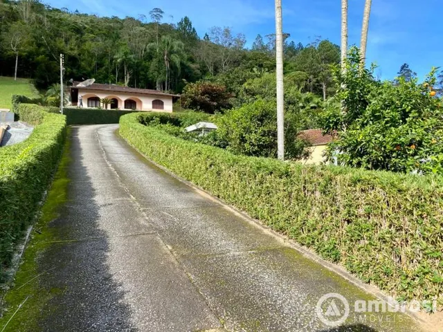 Imagem: 2 casas com amplo terreno na Primeiro de
