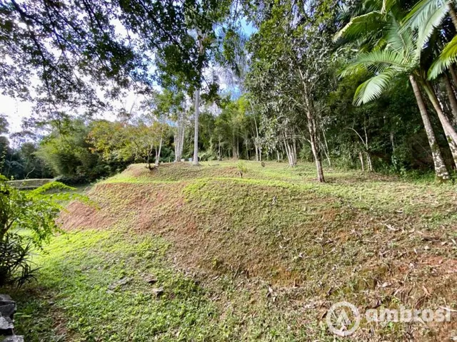 Imagem 7: 2 casas com amplo terreno na Primeiro de Maio - Aceita imóveis como parte do pagamento