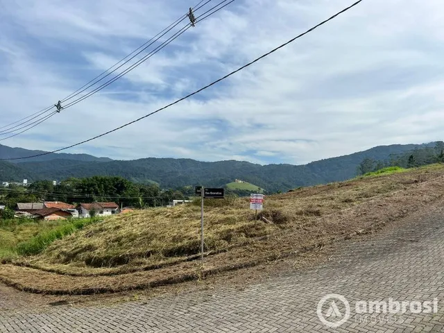 Imagem: Terrenos bairro Pomerânea, parcelamento
