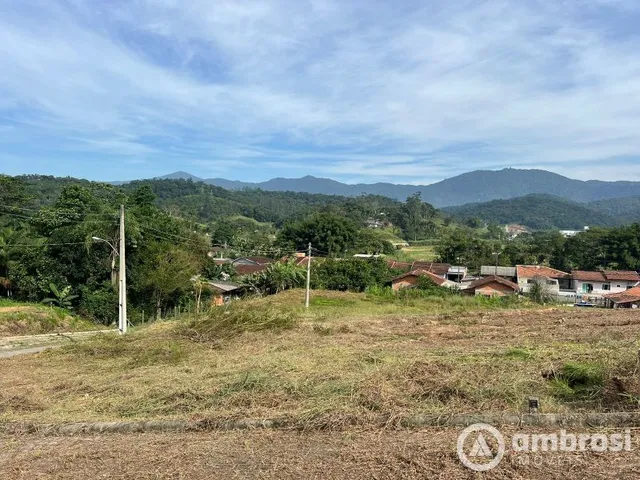Imagem 2: Terrenos bairro Pomerânea, parcelamento direto com o proprietário