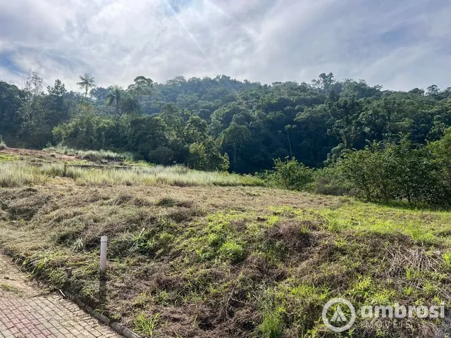 Imagem 3: Terrenos bairro Pomerânea, parcelamento direto com o proprietário