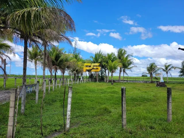 Imagem: Fazenda À Venda 20 Hectareas