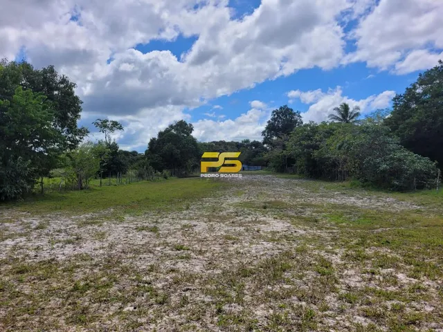 Imagem 16: Fazenda À Venda 20 Hectareas