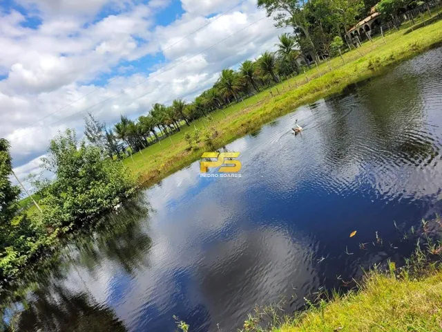 Imagem 11: Fazenda À Venda 20 Hectareas