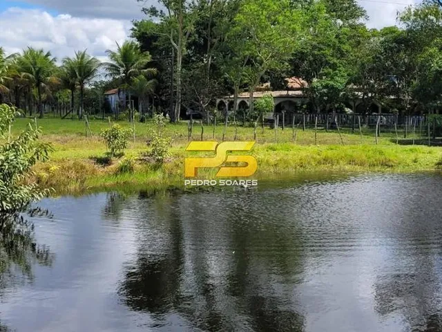 Imagem 5: Fazenda À Venda 20 Hectareas