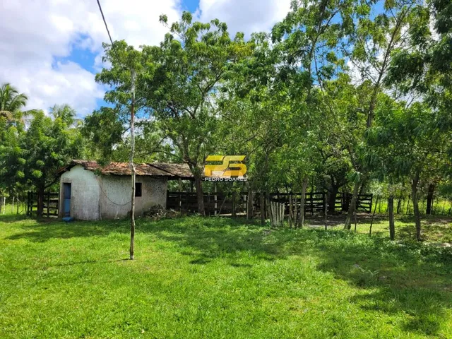 Imagem 7: Fazenda À Venda 20 Hectareas