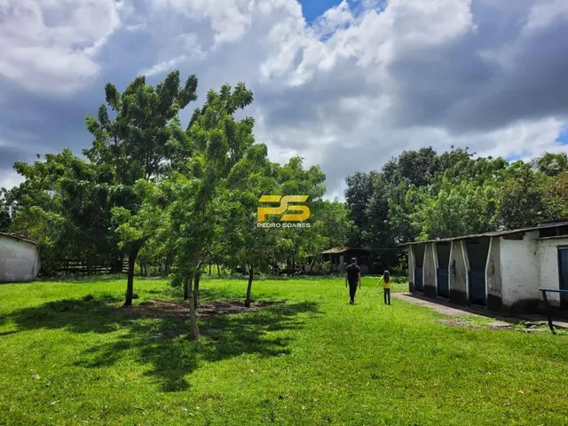 Imagem 3: Fazenda À Venda 20 Hectareas