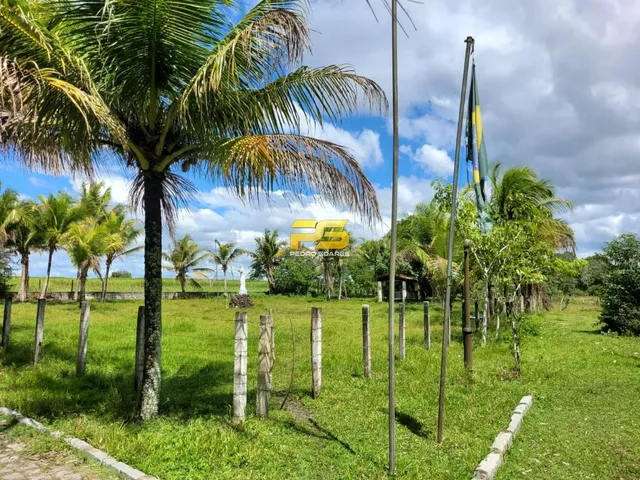 Imagem 12: Fazenda À Venda 20 Hectareas