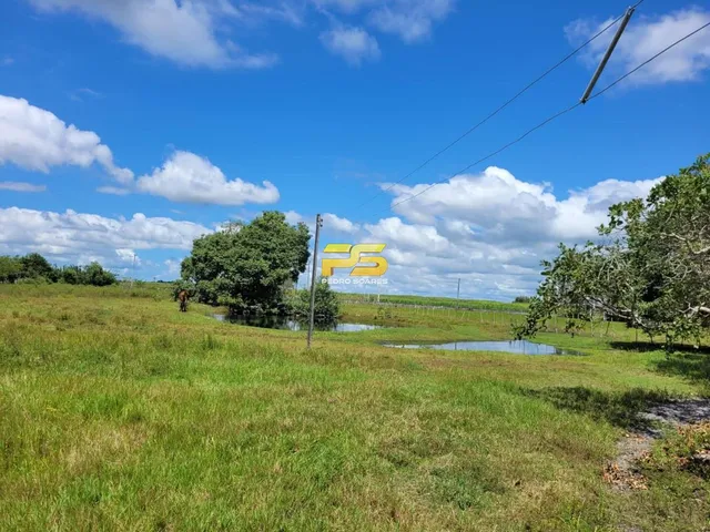 Imagem 2: Fazenda À Venda 20 Hectareas