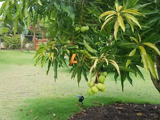 Imagem 8: Terreno Amplo com Casa 5 Suites em Barra Grande
