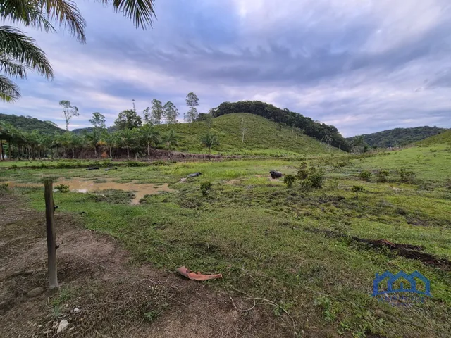 Imagem 13: Sítio/Fazenda à Venda, 174 alqueires por R$ 10.000.000 Cód. ch2556