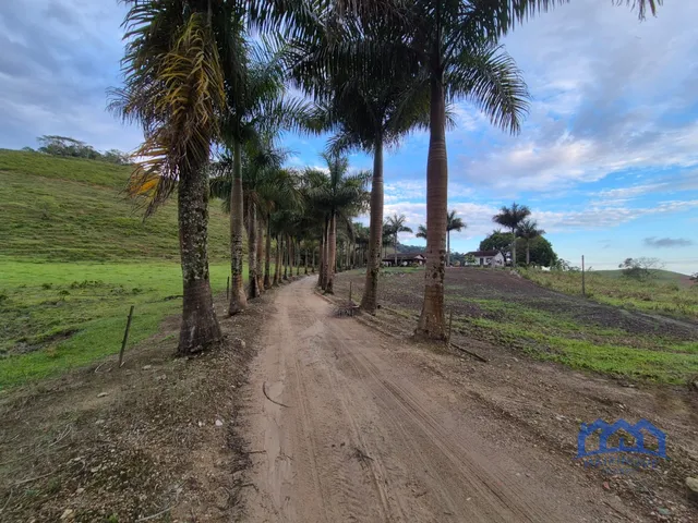 Imagem 3: Sítio/Fazenda à Venda, 174 alqueires por R$ 10.000.000 Cód. ch2556