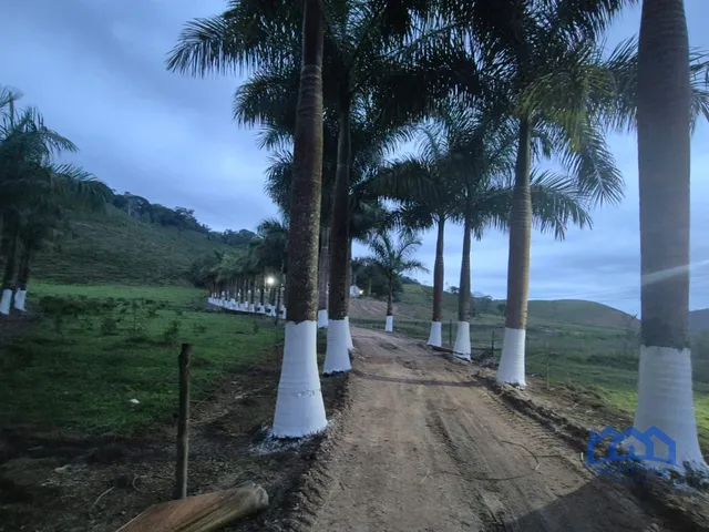 Imagem 5: Sítio/Fazenda à Venda, 174 alqueires por R$ 10.000.000 Cód. ch2556