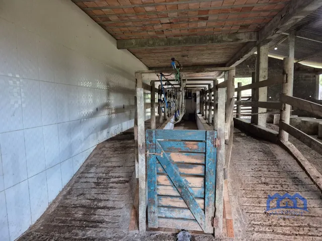 Imagem 10: Sítio/Fazenda à Venda, 174 alqueires por R$ 10.000.000 Cód. ch2556