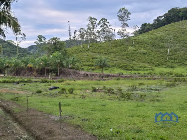 Imagem 9: Sítio/Fazenda à Venda, 174 alqueires por R$ 10.000.000 Cód. ch2556