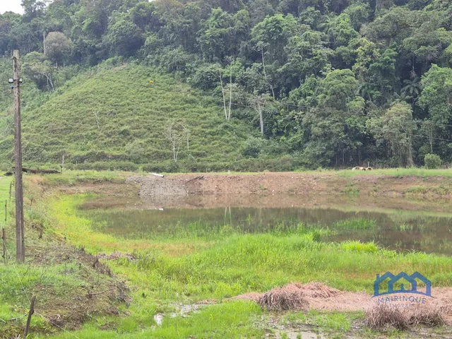 Imagem 8: Sítio/Fazenda à Venda, 174 alqueires por R$ 10.000.000 Cód. ch2556