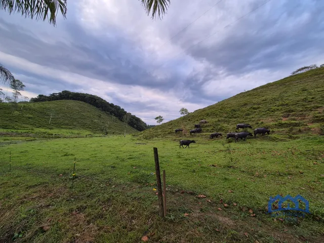 Imagem 11: Sítio/Fazenda à Venda, 174 alqueires por R$ 10.000.000 Cód. ch2556