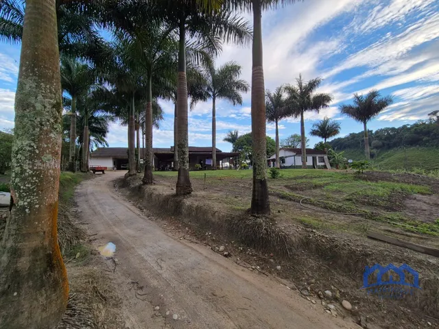 Imagem 12: Sítio/Fazenda à Venda, 174 alqueires por R$ 10.000.000 Cód. ch2556