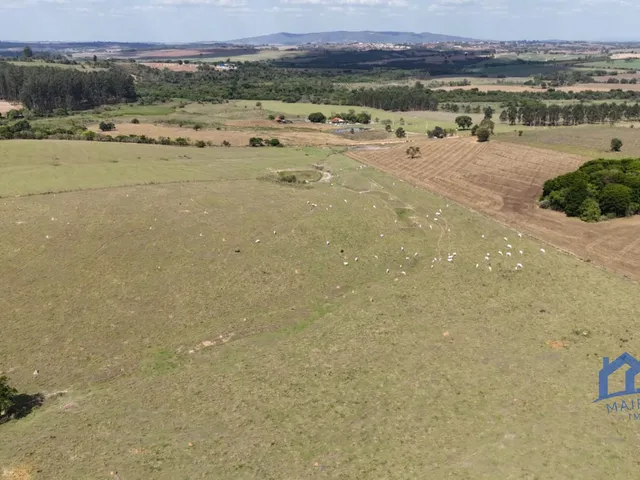 Imagem: Sítio/Fazenda à Venda, 30,37 alqueires