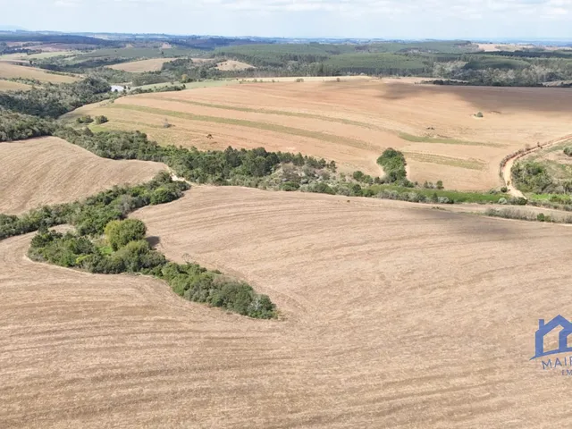 Imagem: Sítio/Fazenda à Venda, 38,86 alqueires