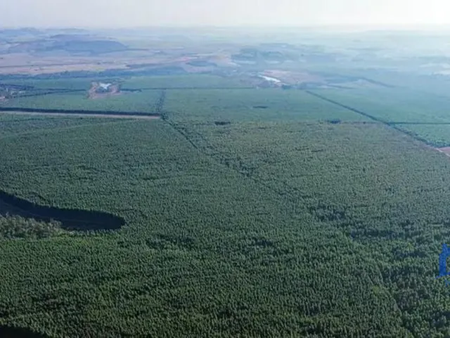 Imagem: Sítio/Fazenda à Venda, 321 alqueires por